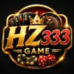 HZ333 Game logo