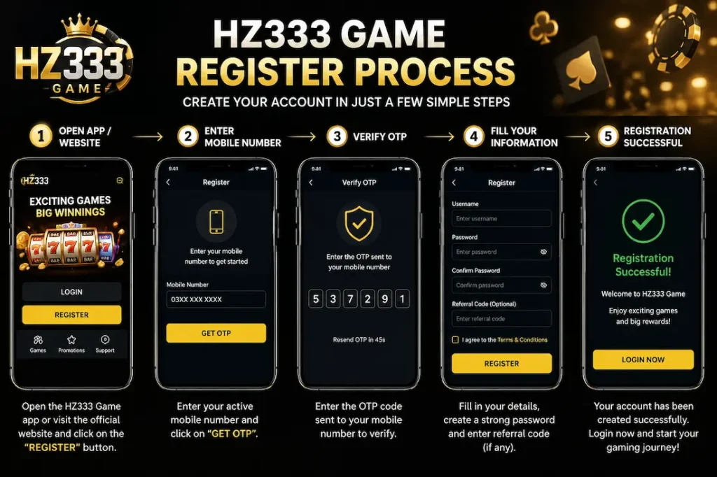 HZ333 Game image